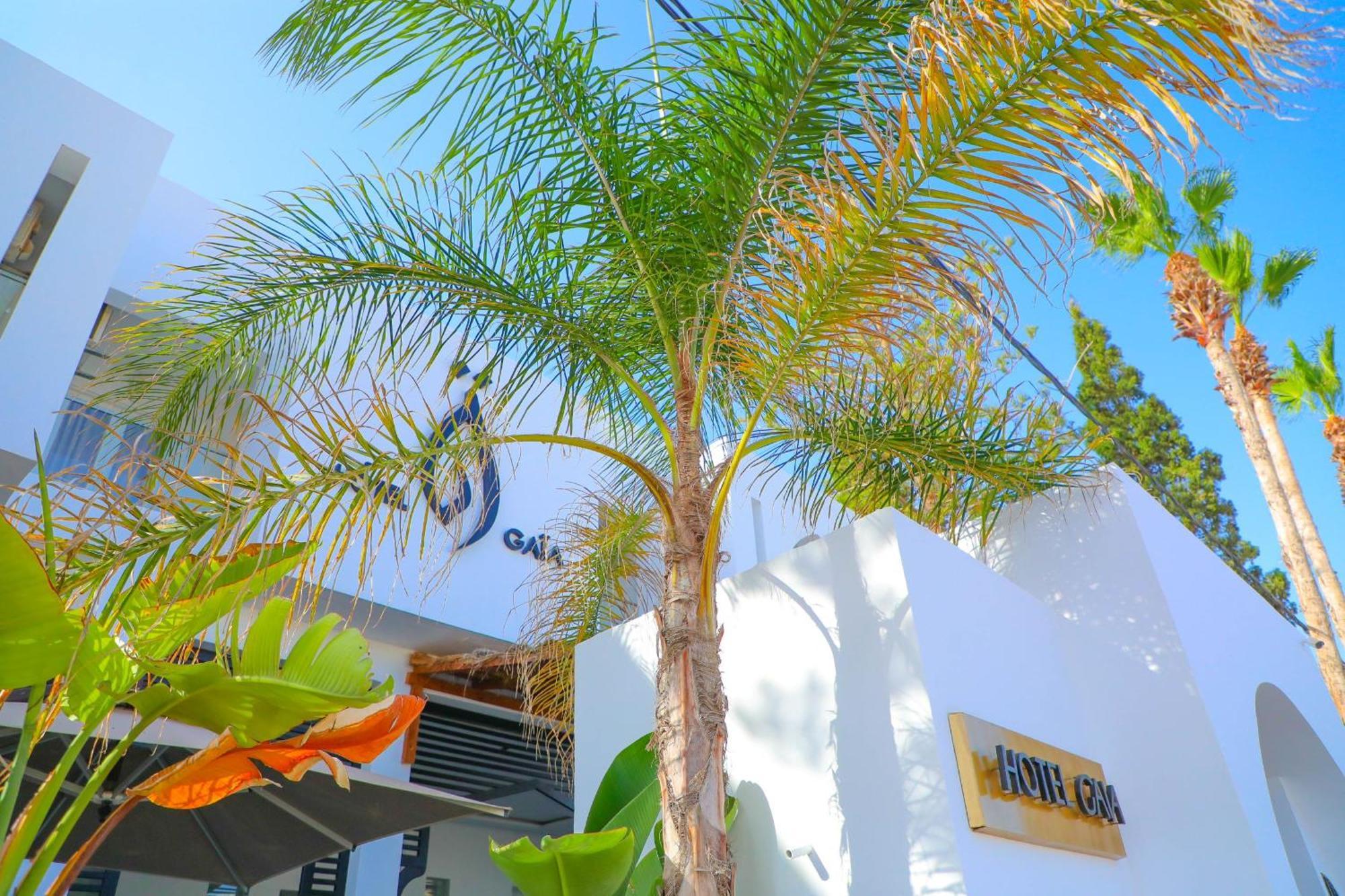 نزل قايا Hotel Gaia Nabeul Eksteriør billede